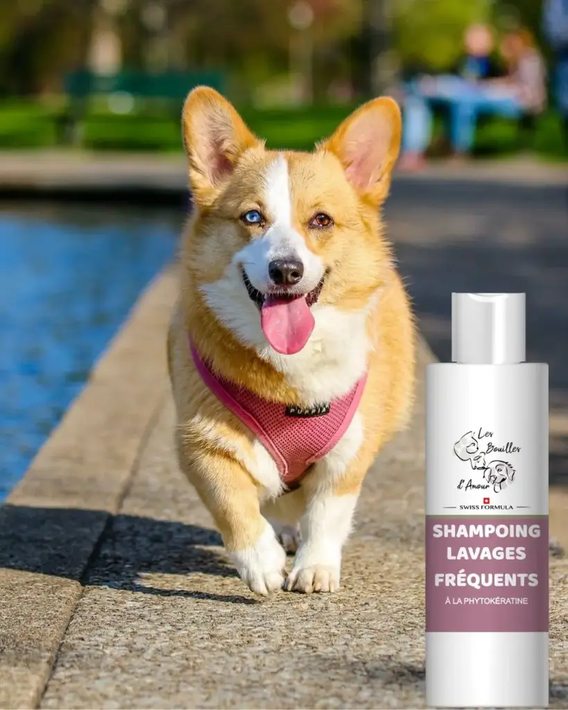[Pet 06] Shampoing lavages fréquents 