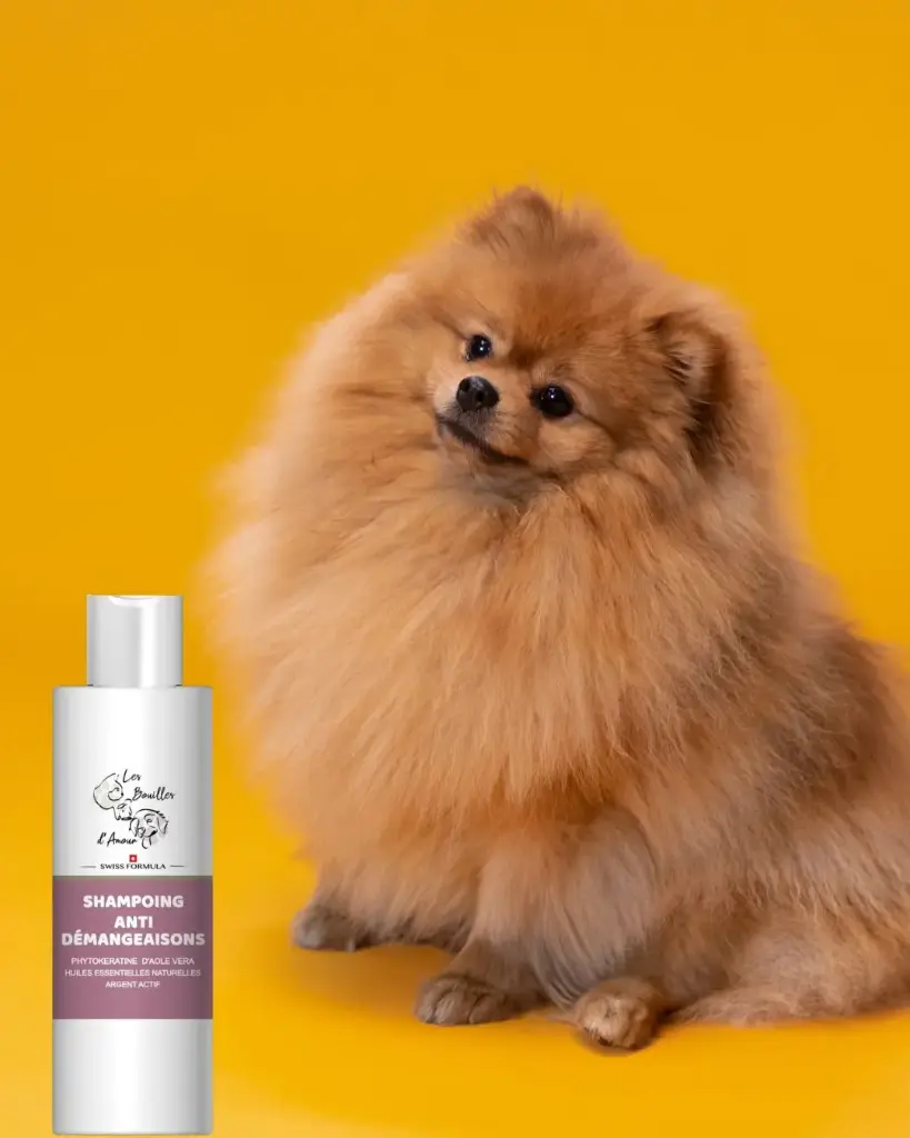 Shampoing anti-démageaisons